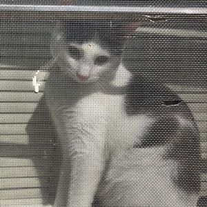 Meet your Posher, Lydia